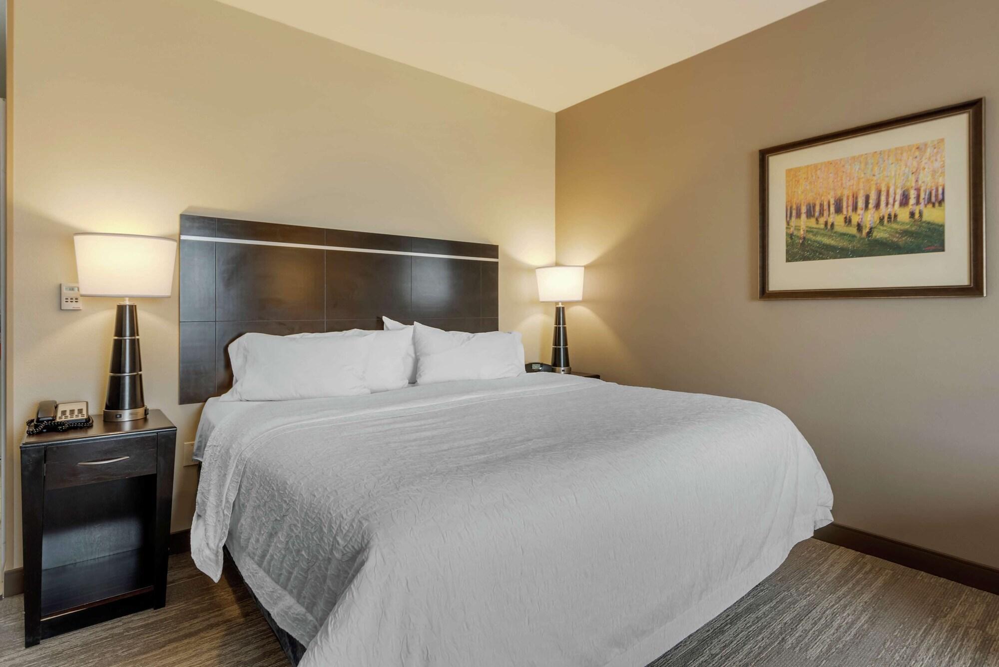 Hampton Inn Alamosa Esterno foto